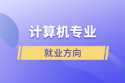 計(jì)算機(jī)專(zhuān)業(yè)就業(yè)方向探索 信息技術(shù)咨詢(xún)服務(wù)的機(jī)遇與前景